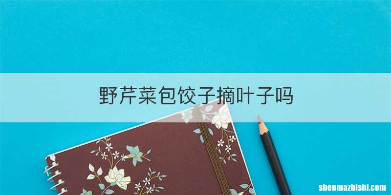 野芹菜包饺子摘叶子吗