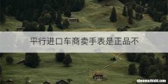 平行进口车商卖手表是正品不