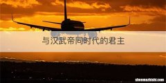 与汉武帝同时代的君主