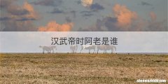 汉武帝时阿老是谁