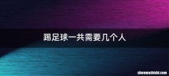 踢足球一共需要几个人