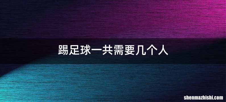 踢足球一共需要几个人