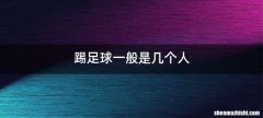 踢足球一般是几个人