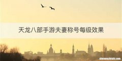 天龙八部手游夫妻称号每级效果