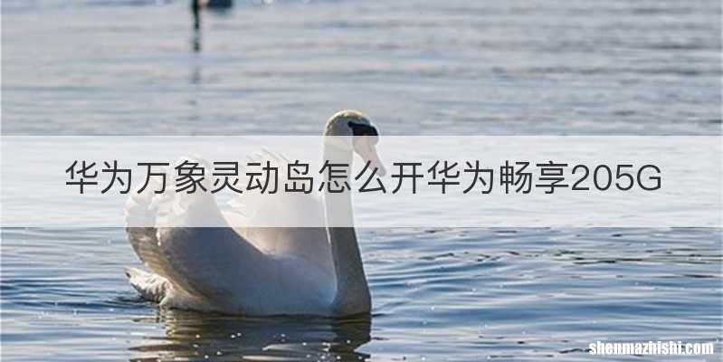 华为万象灵动岛怎么开华为畅享205G