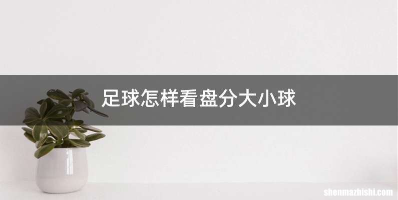 足球怎样看盘分大小球