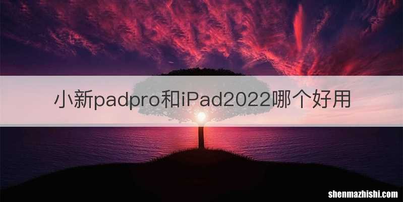 小新padpro和iPad2022哪个好用
