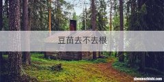 豆苗去不去根