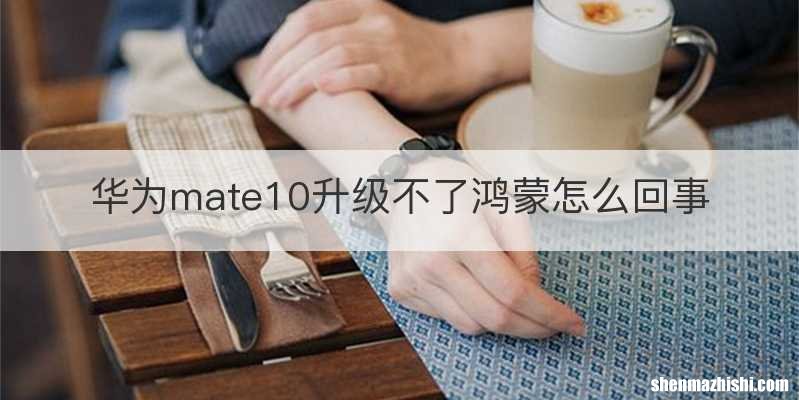 华为mate10升级不了鸿蒙怎么回事