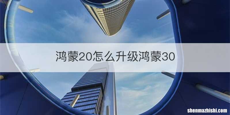鸿蒙20怎么升级鸿蒙30