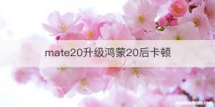 mate20升级鸿蒙20后卡顿