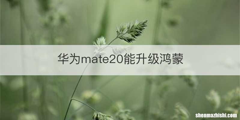 华为mate20能升级鸿蒙