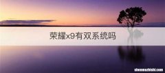 荣耀x9有双系统吗