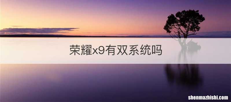 荣耀x9有双系统吗