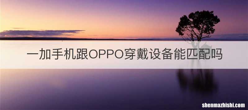 一加手机跟OPPO穿戴设备能匹配吗