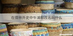 在儒林外史中牛浦郎改名叫什么