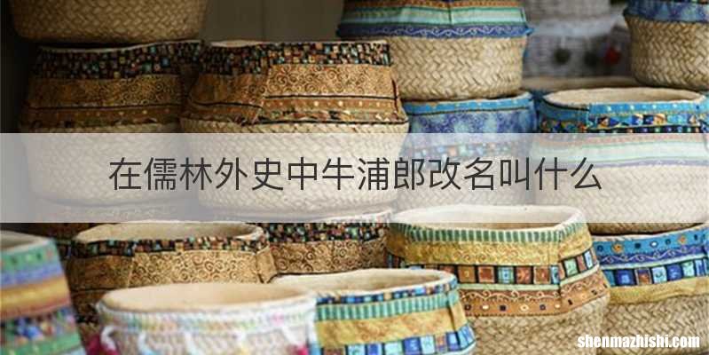 在儒林外史中牛浦郎改名叫什么