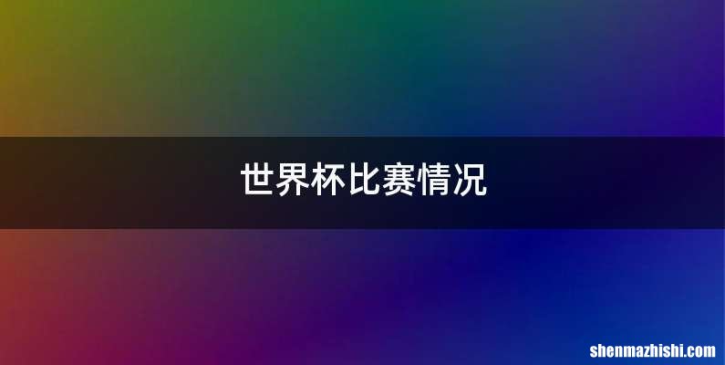 世界杯比赛情况