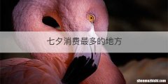 七夕消费最多的地方