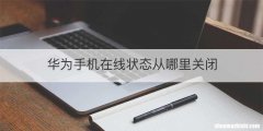 华为手机在线状态从哪里关闭