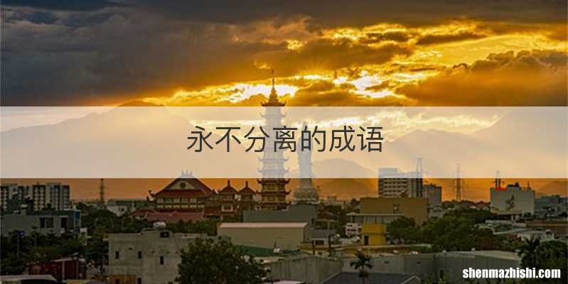 永不分离的成语