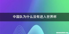 中国队为什么没有进入世界杯