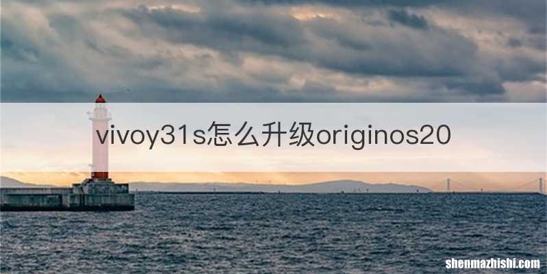 vivoy31s怎么升级originos20