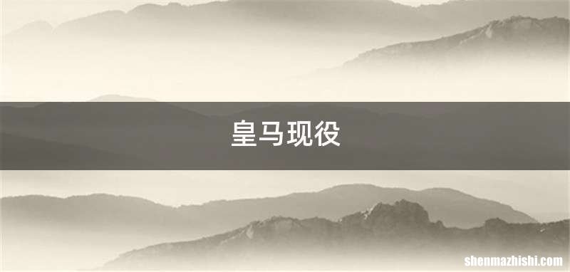 皇马现役