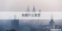 哈醒什么意思
