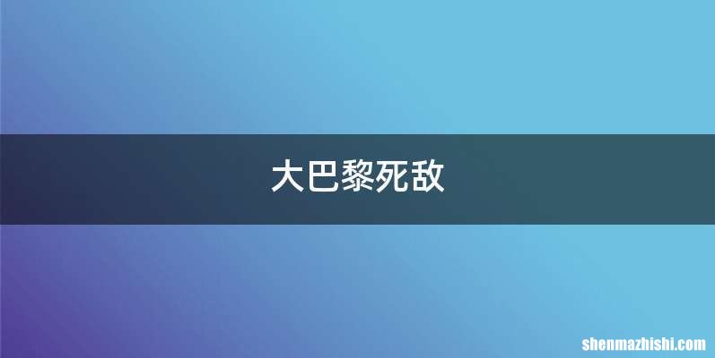 大巴黎死敌