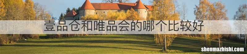 壹品仓和唯品会的哪个比较好