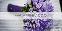 realme耳机丢了怎么办