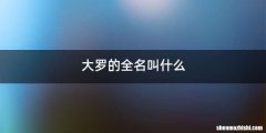大罗的全名叫什么