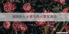 湖南新化水煮牛肉片家常做法