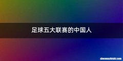 足球五大联赛的中国人