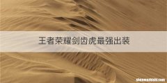王者荣耀剑齿虎最强出装