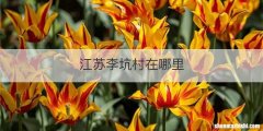 江苏李坑村在哪里