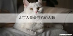 北京人是最原始的人吗