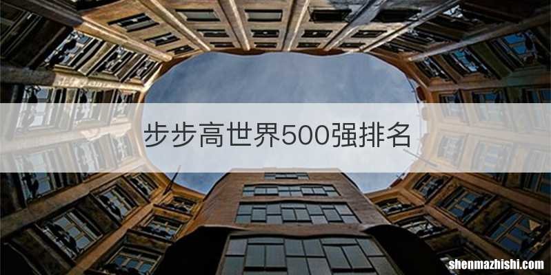 步步高世界500强排名