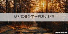 华为耳机丢了一只怎么找回
