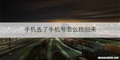 手机丢了手机号怎么找回来