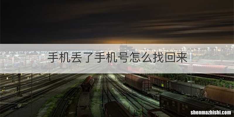 手机丢了手机号怎么找回来