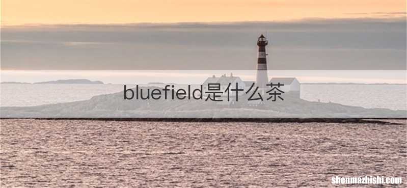 bluefield是什么茶