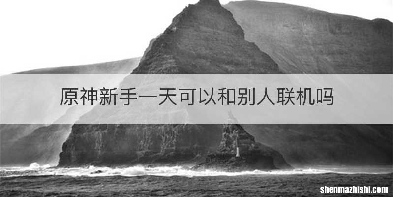 原神新手一天可以和别人联机吗