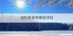 吉利首保有哪些项目
