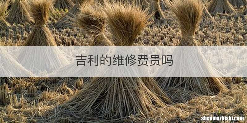 吉利的维修费贵吗