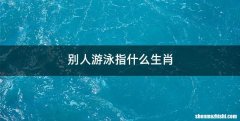 别人游泳指什么生肖