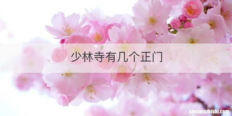 少林寺有几个正门