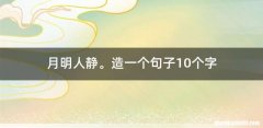 月明人静。造一个句子10个字