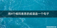 用4个相同意思的成语造一个句子